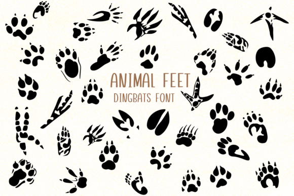 Animal Feet: Playful Tracks for Creative Projects