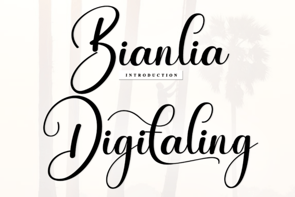 Bianlia Digitaling: A Handwritten Font with Timeless Character