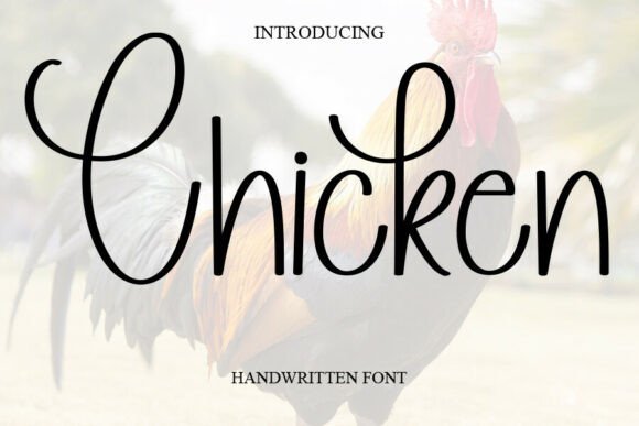 Why the Chicken Font Feels Like a Handwritten Hug